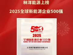 祝賀！林洋能源蟬聯(lián)“2025全球新能源企業(yè)500強(qiáng)”