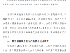 三峽能源管理層調整！