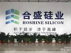 砸270億建廠，三年后產能利用率仍為0！“硅王”腸子悔青